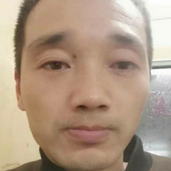 乌龙绿茶的照片