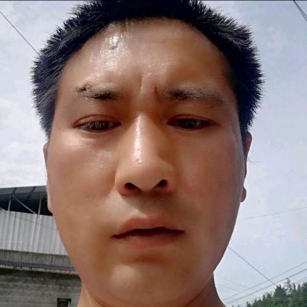 硬币就外向的照片