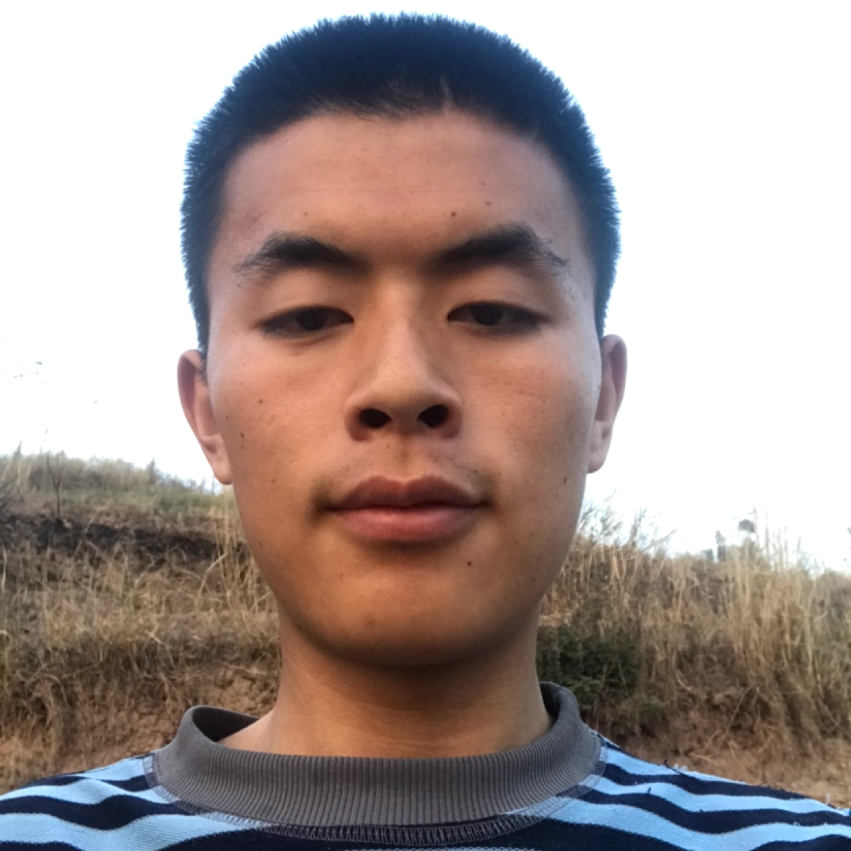 悟空放弃苹果的照片