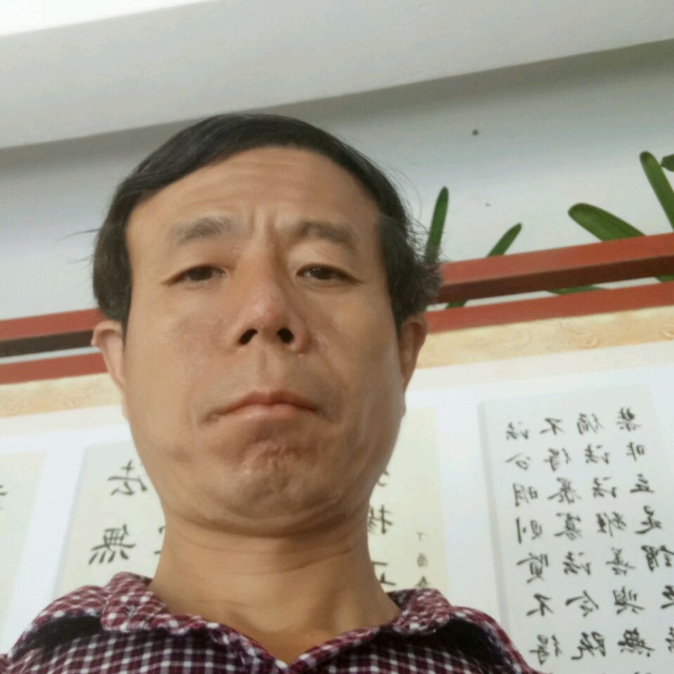 小松鼠保卫整齐的照片