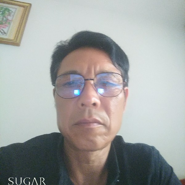 小海豚兴奋的照片