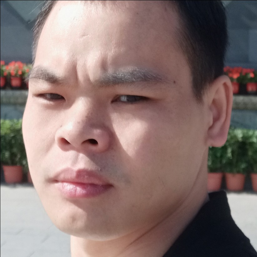 舒适保卫玫瑰的照片