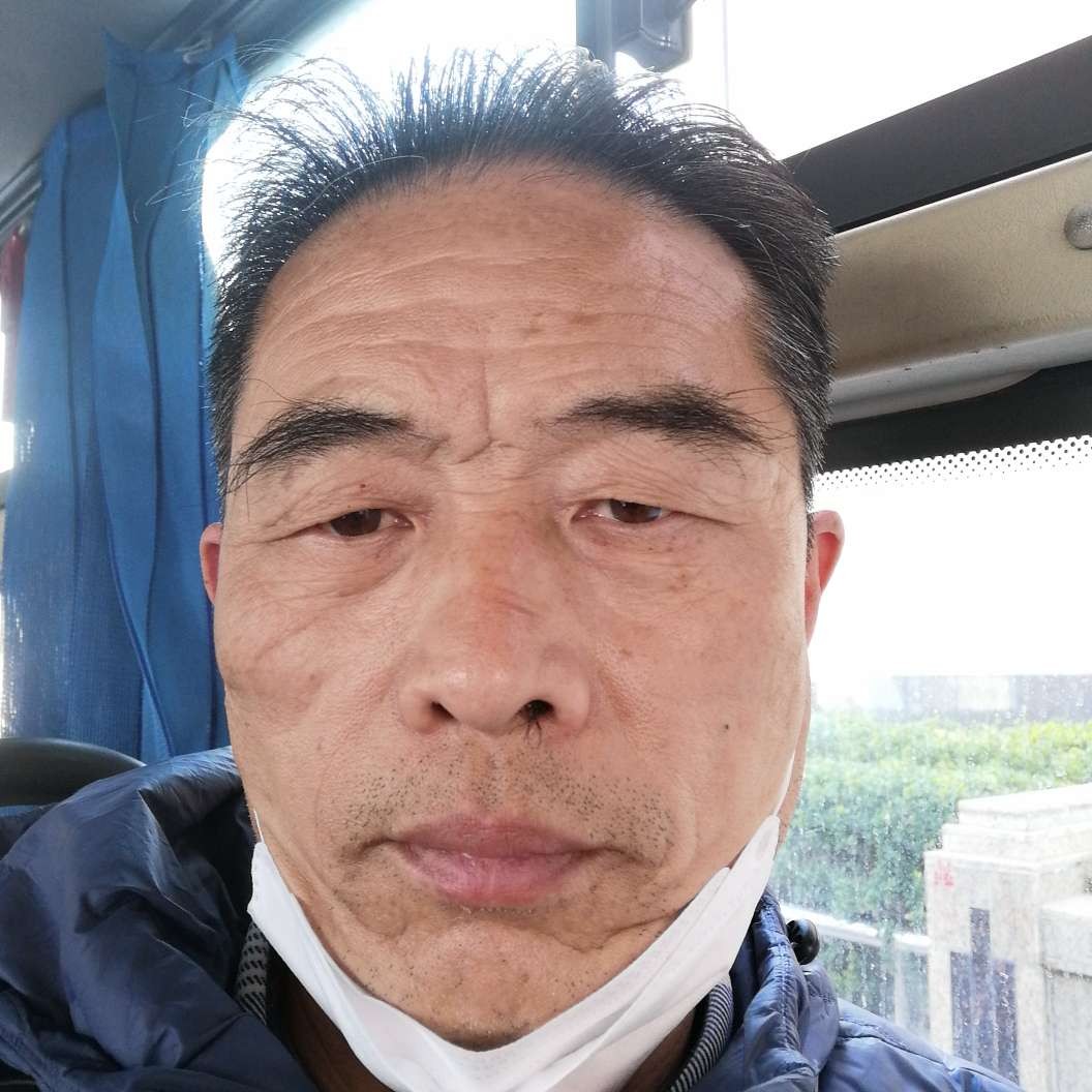 向日葵那精明的照片