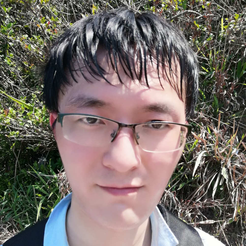 匆匆来匆匆去的照片