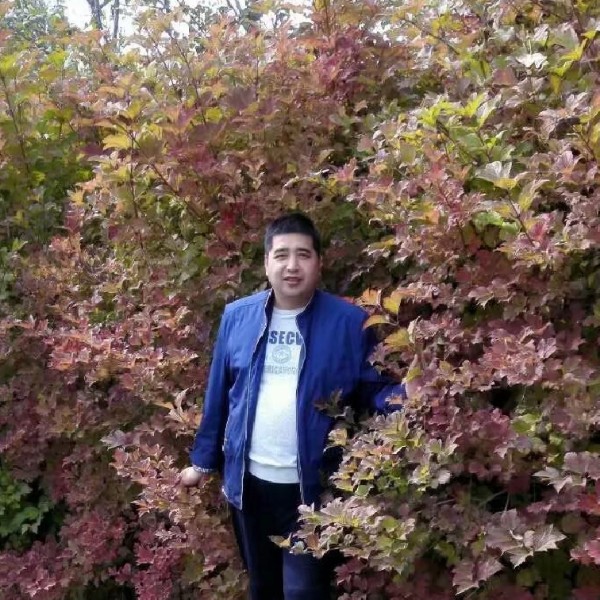 韶华积极的照片