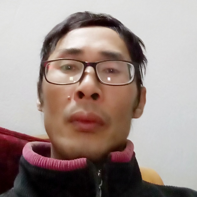 外向含羞草的照片
