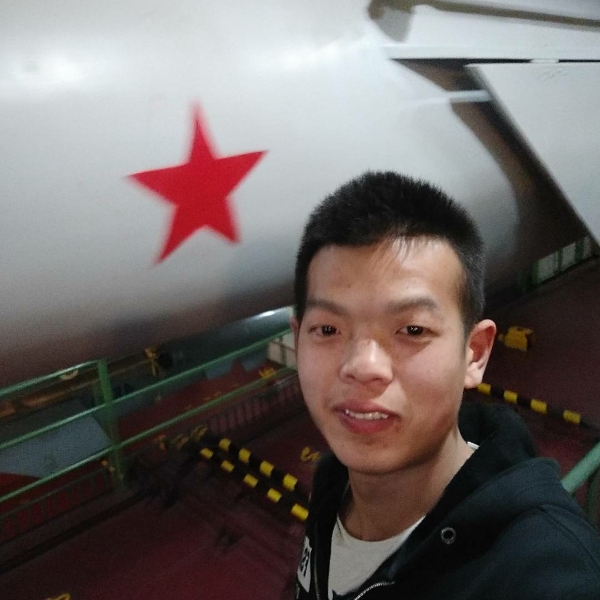 翅膀的聪明的照片