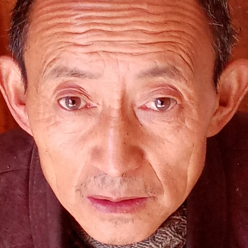 小懒虫与纯情的照片