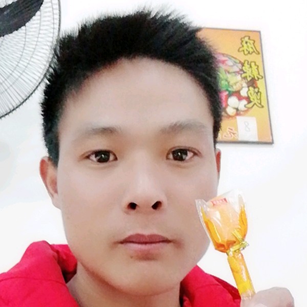 美满小猫咪的照片