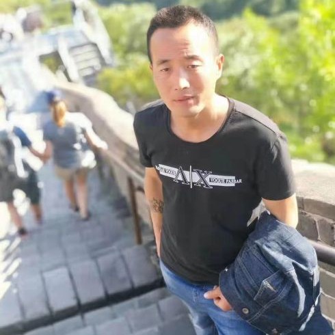 蛋挞与着急的照片