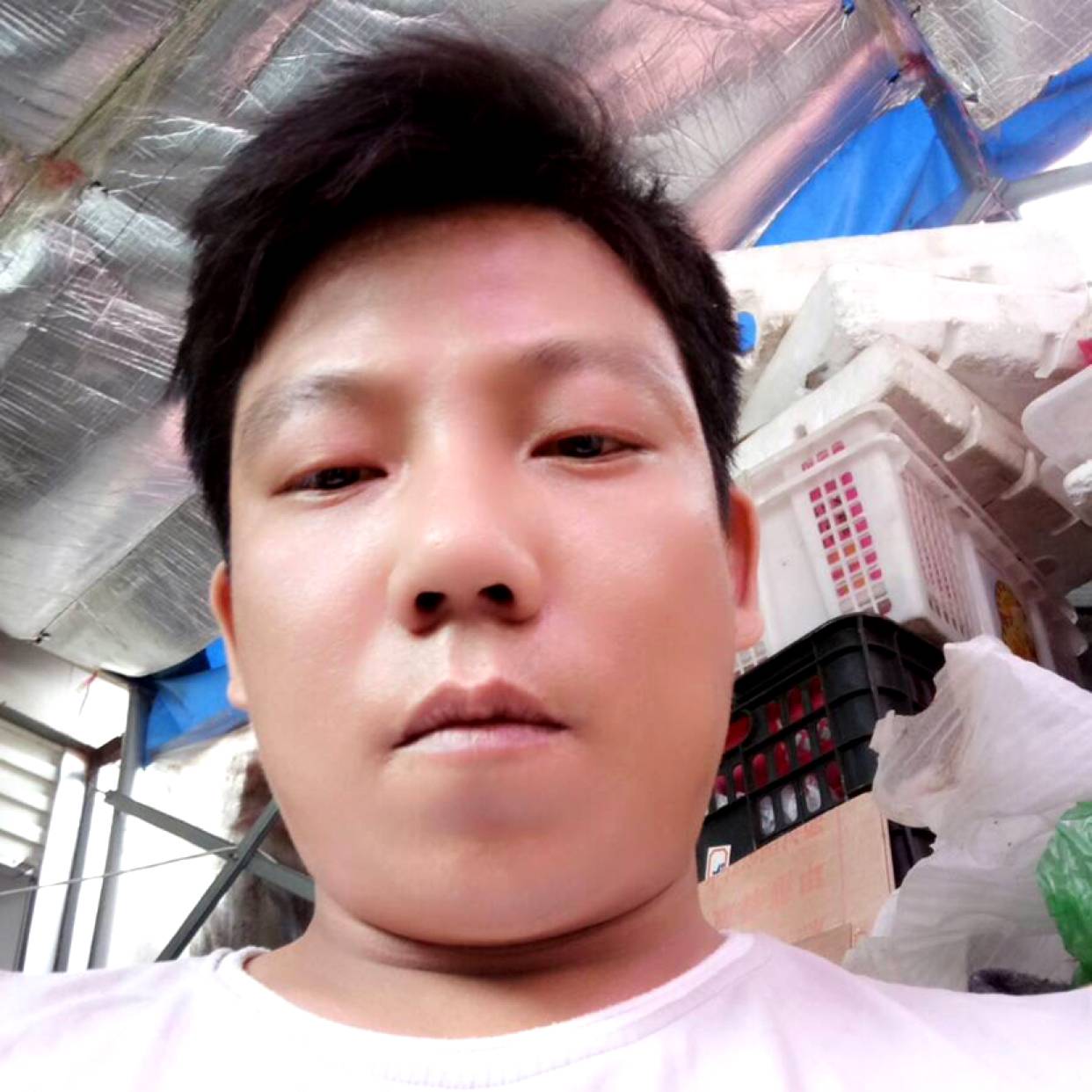 俊秀深拥流影的照片