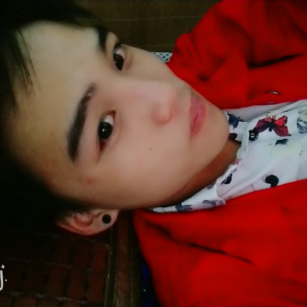 孤單陌颜的照片