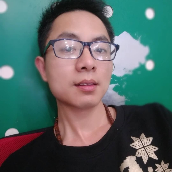 奇异果实的照片