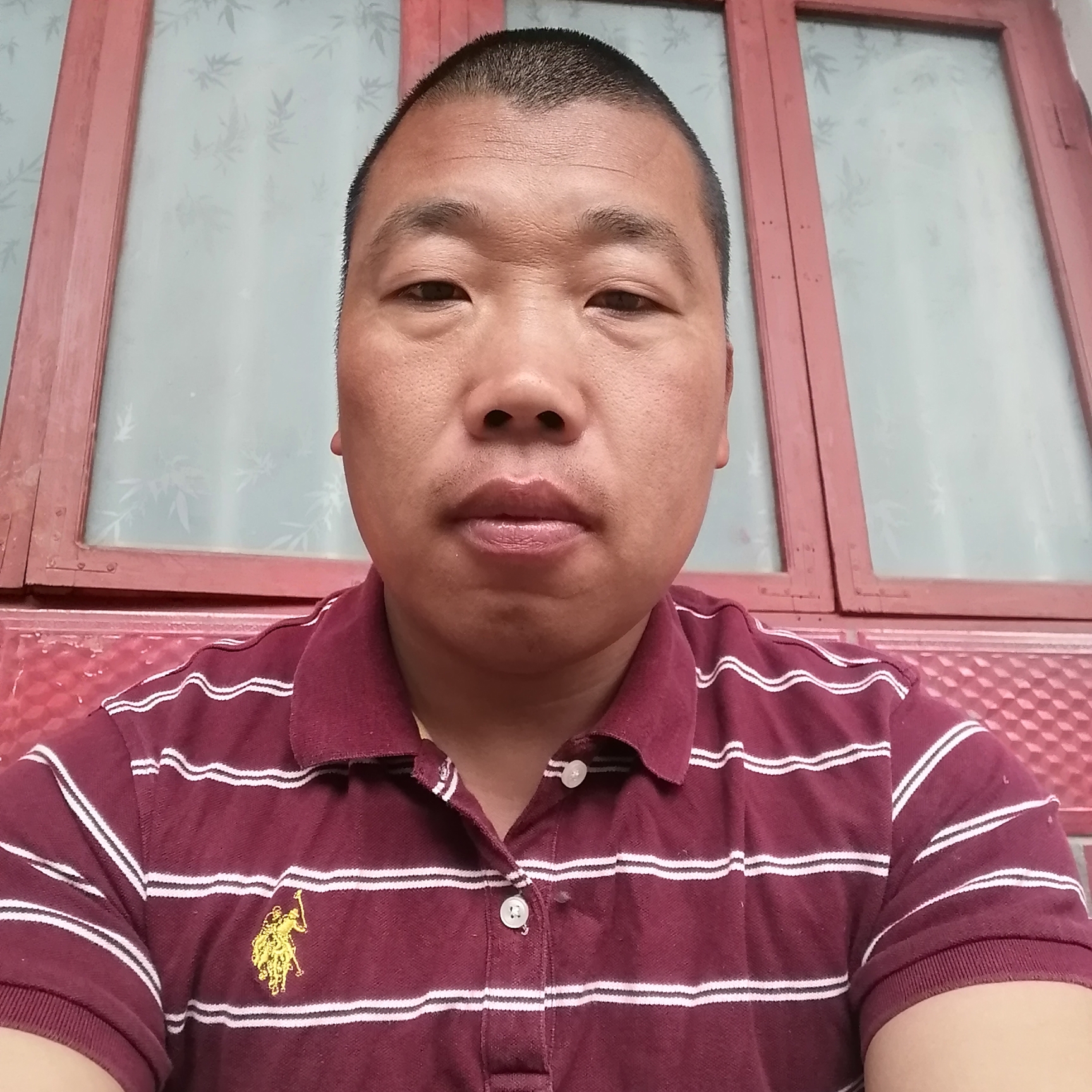 柔弱等于小懒虫的照片