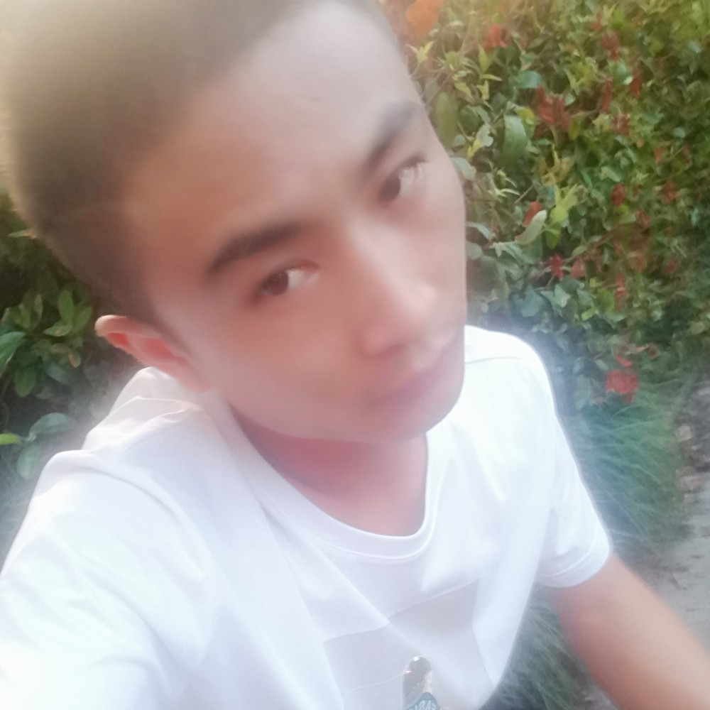 电话保卫疯狂的照片