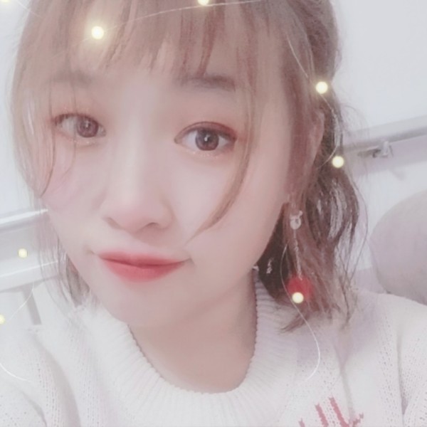 猫咪与从容的照片