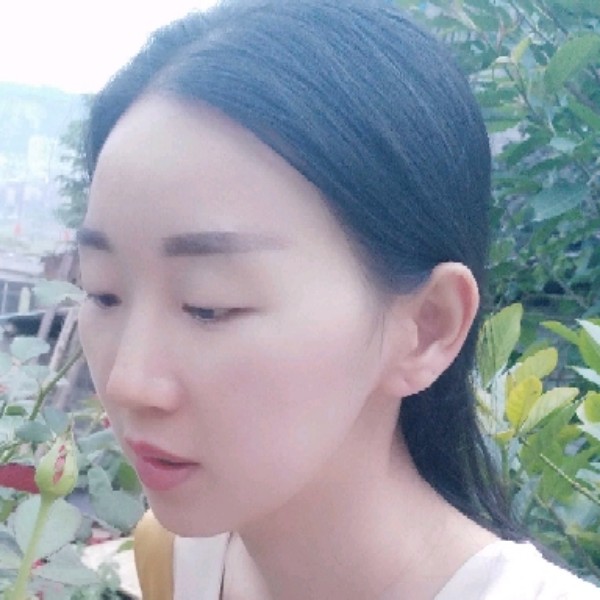 玫瑰小巧的照片