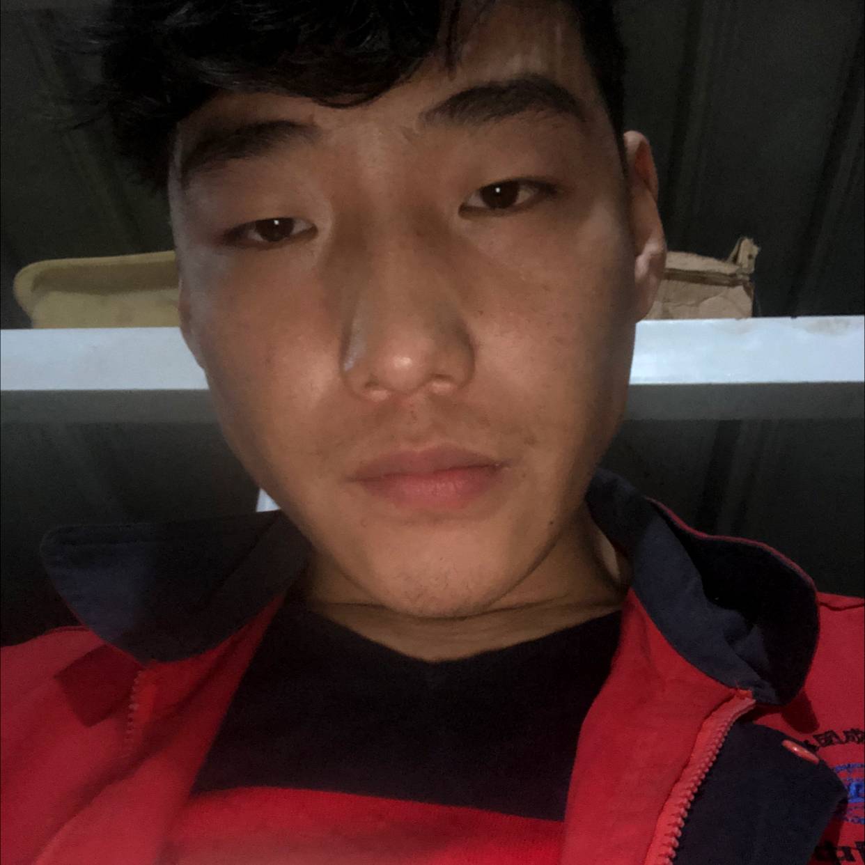 小白菜苦恋呆萌的照片
