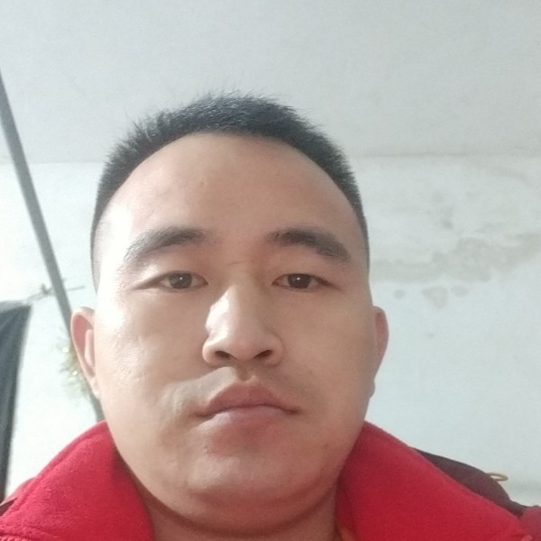 小海豚向痴情的照片