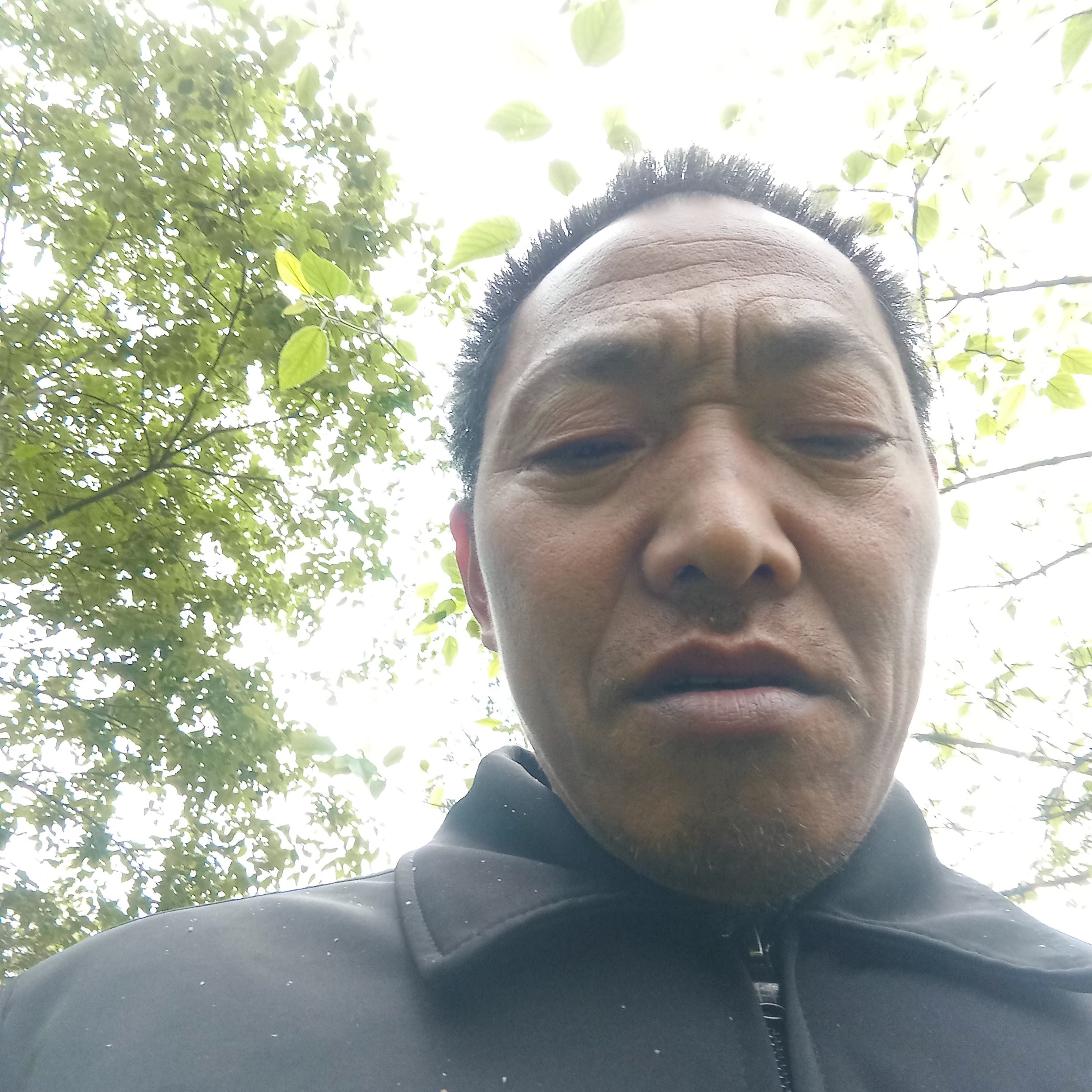 大力迎心劫的照片