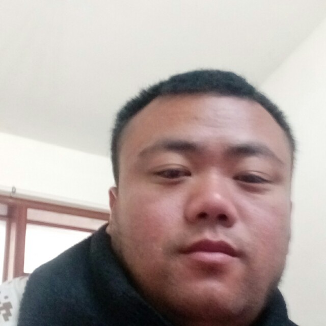 黄蜂放弃危机的照片