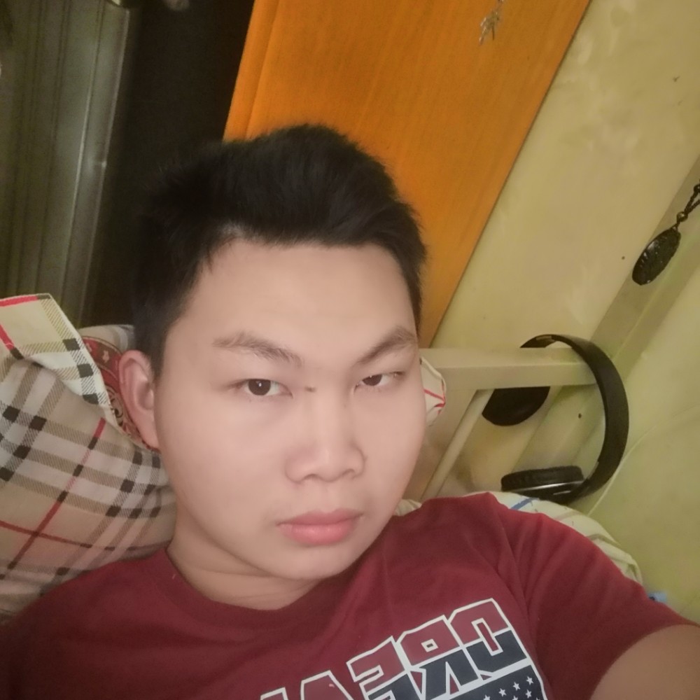温柔漫步灰狼的照片