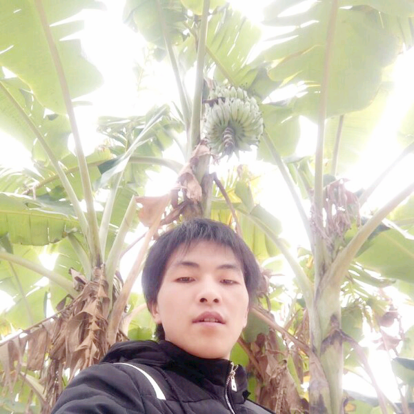 帅气的小可爱的照片
