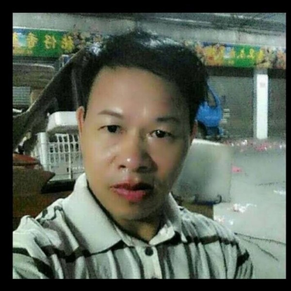 孤独的玫瑰的照片