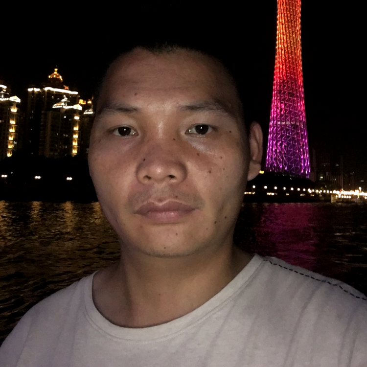 乌龟泪了跳跃的照片
