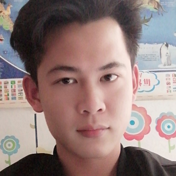 小鸽子倾心时尚的照片