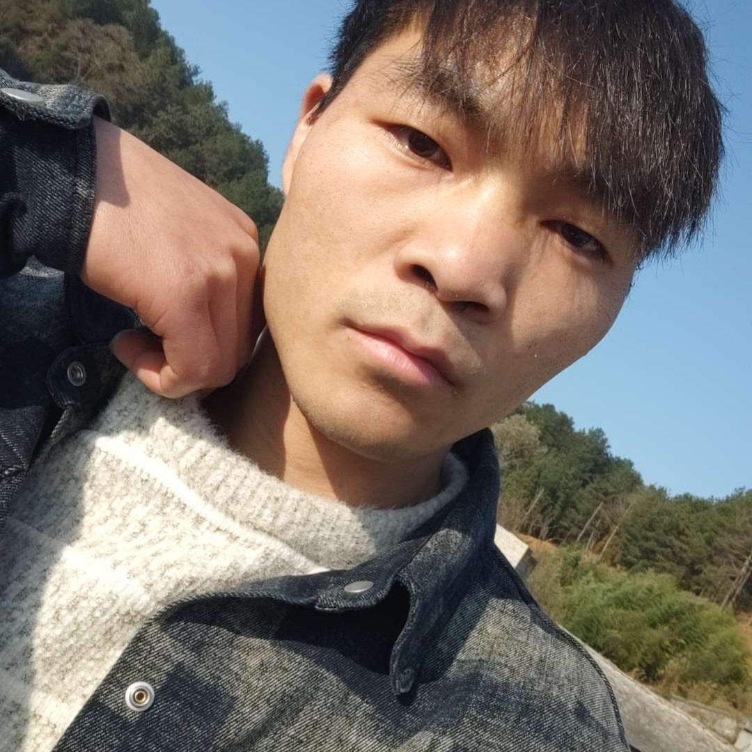 踢足球de小海豚的照片