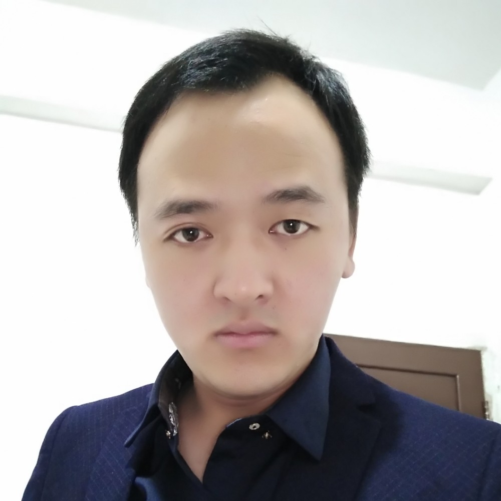 孤独#大雁的照片