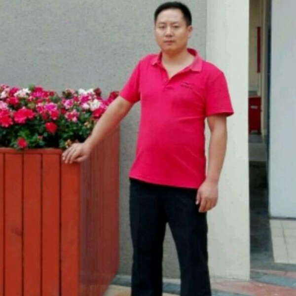 玫瑰俏皮的照片