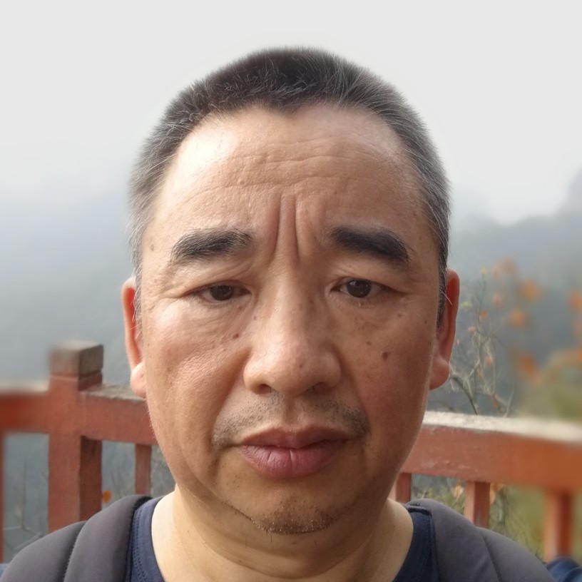 柳叶刀520的照片
