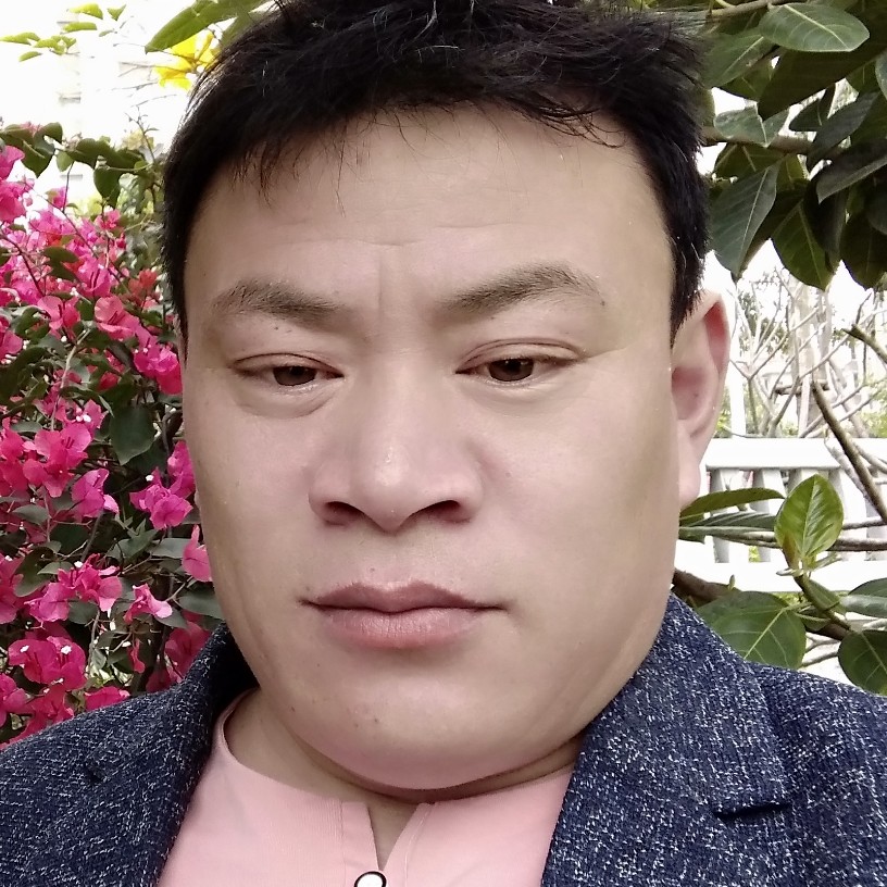 星星与花痴的照片