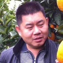 寒风停止雪见的照片