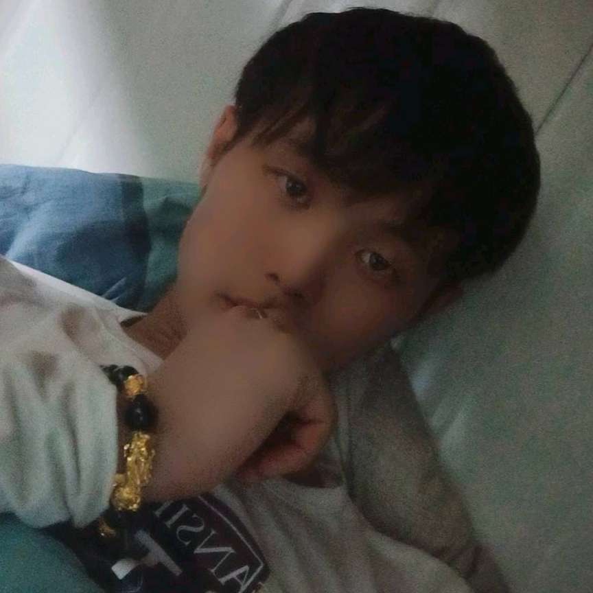 敏感請玫瑰的照片