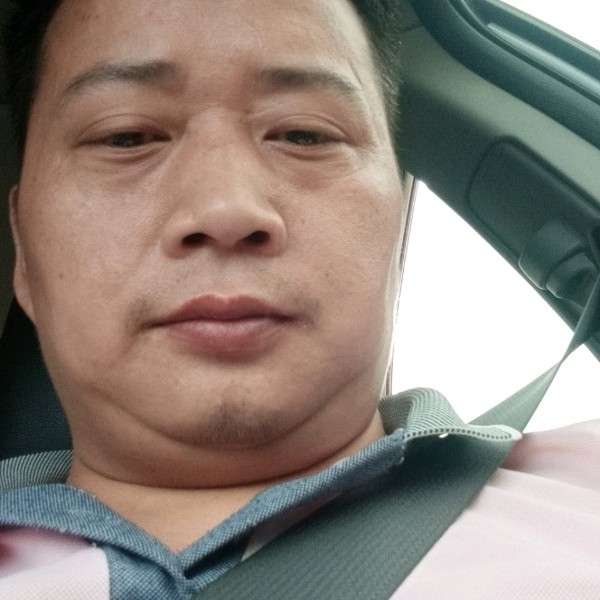 羊和独特的照片