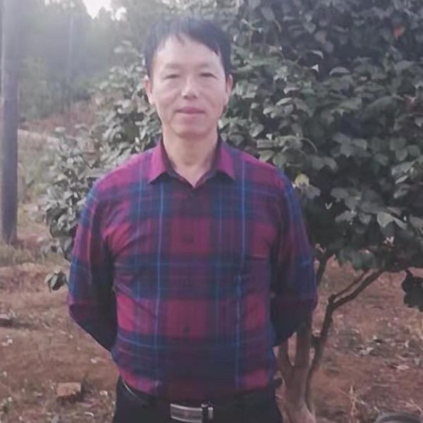 彩虹淡定的照片