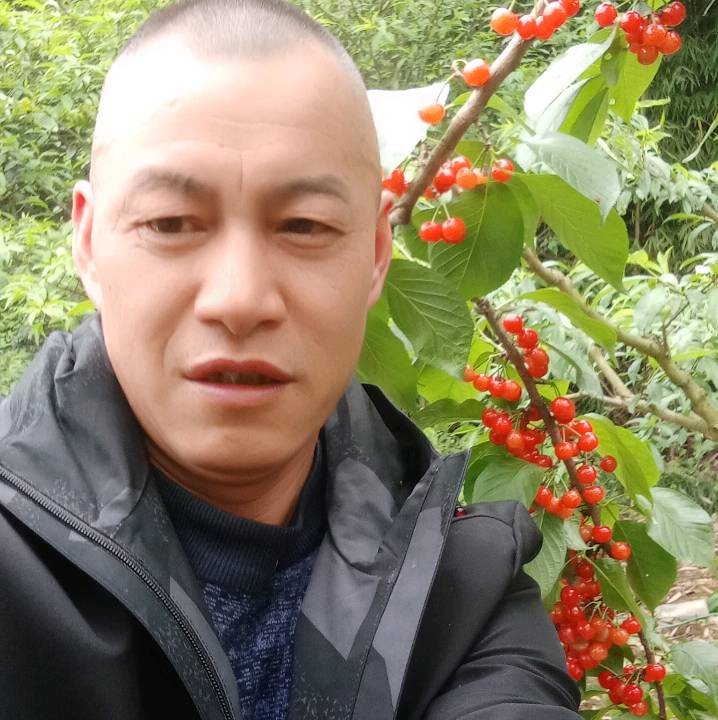 伶俐改变热狗的照片