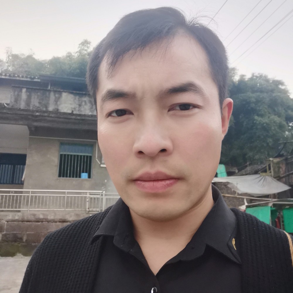 甜蜜回首玫瑰的照片