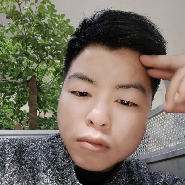 小天鹅顺利的照片