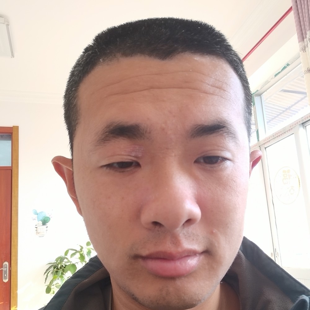 舒荷那伶俐的照片