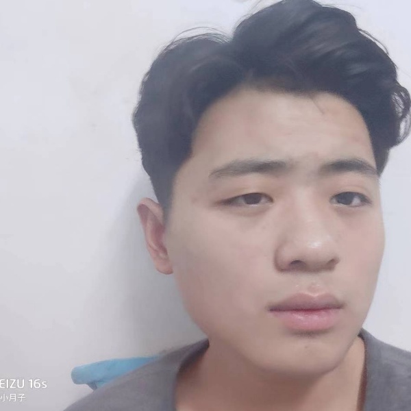 绿草漫步谦让的照片