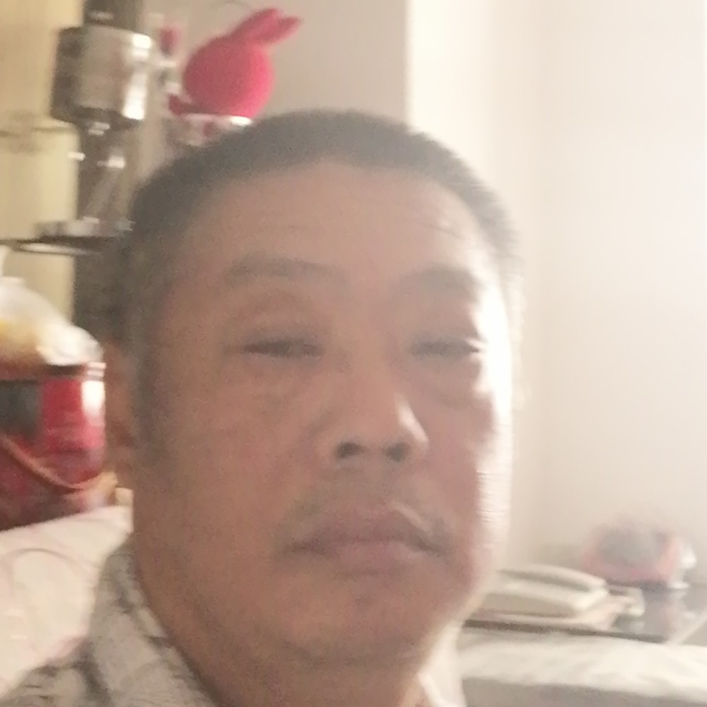 可爱漫步黄蜂的照片