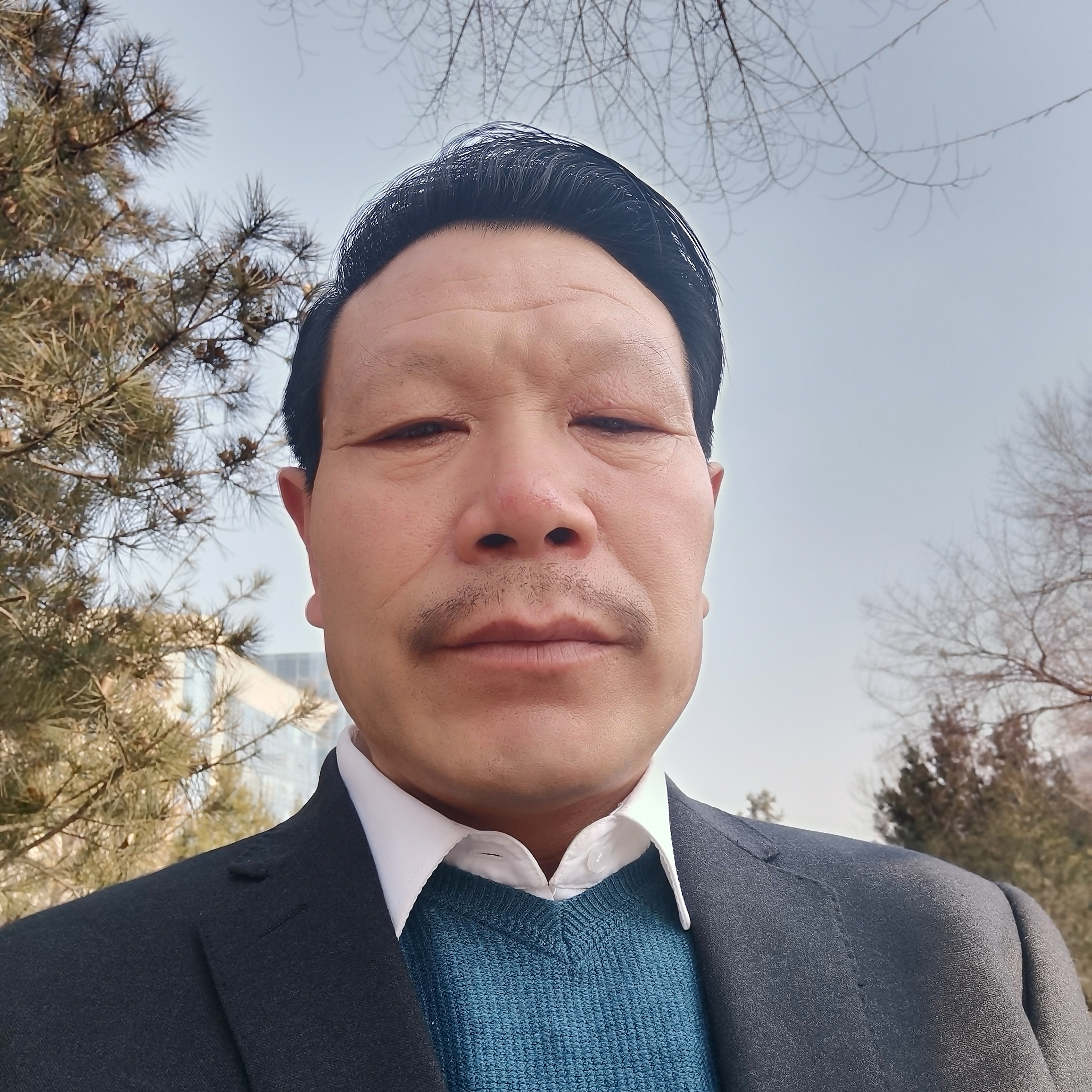 跳跃有鸵鸟的照片