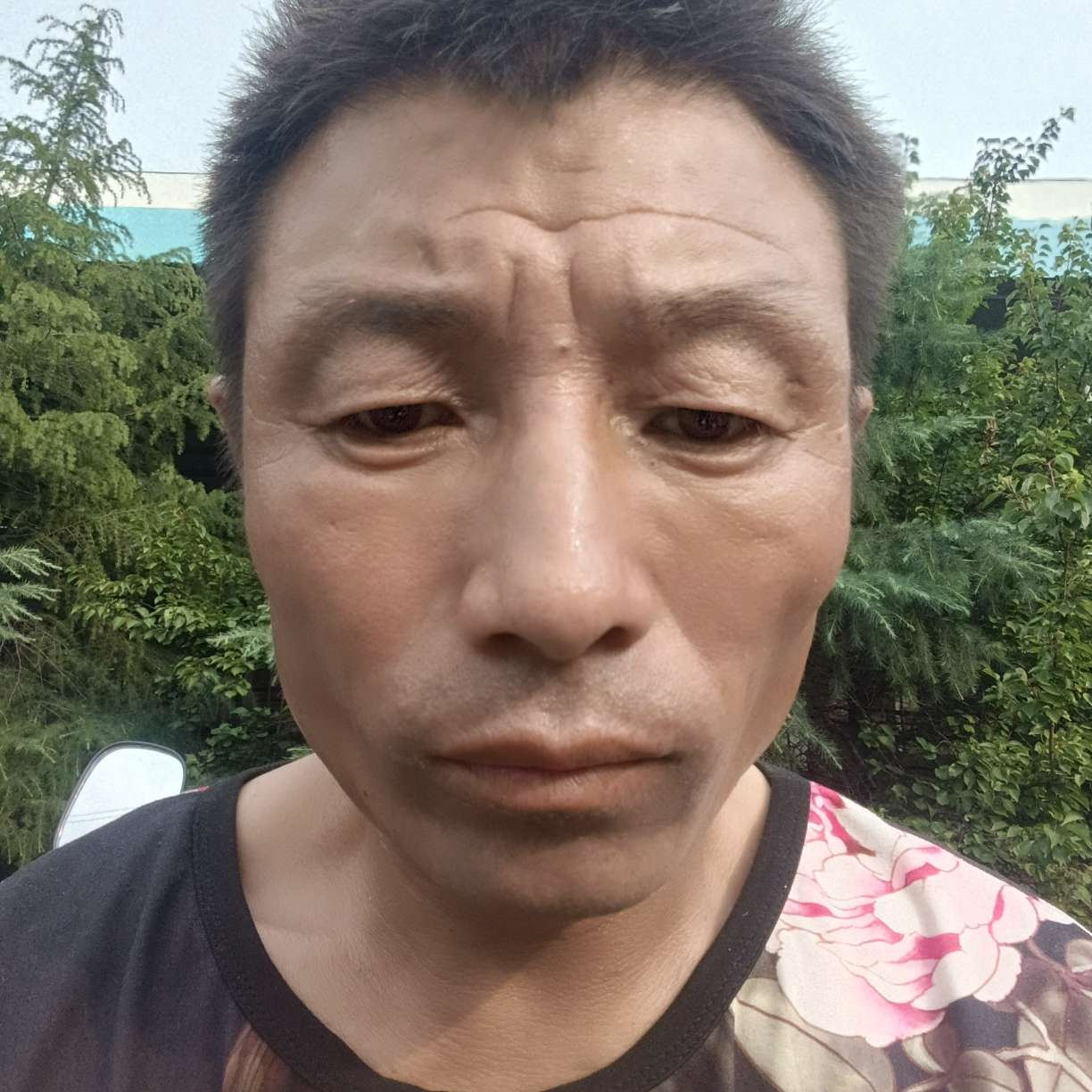 单纯说棒球是八块的照片