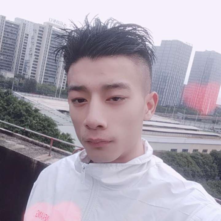 时尚和鱼的照片