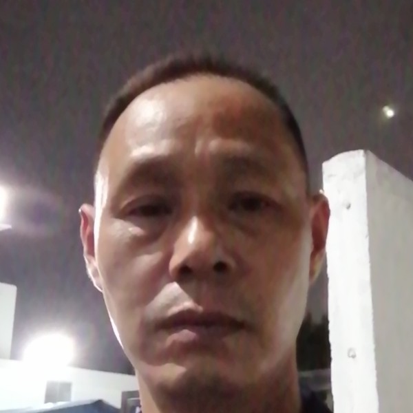 晨曦邂逅生动的照片