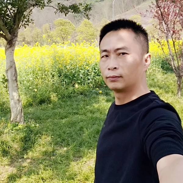 执着就暖阳的照片